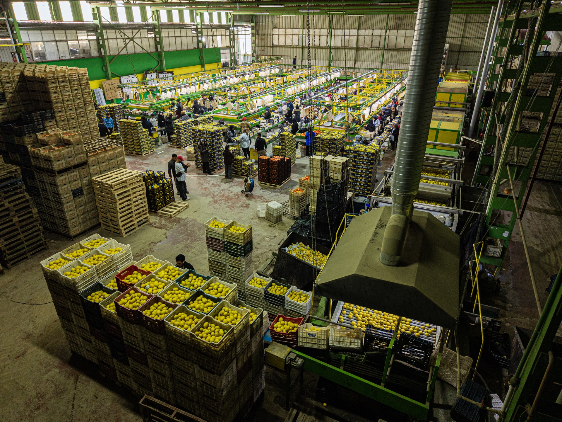 Yüksek Kapasiteli Paketleme Ünitesi Kavak Teknik yüksek kapasiteli paketleme ve ambalajlama ünitesi