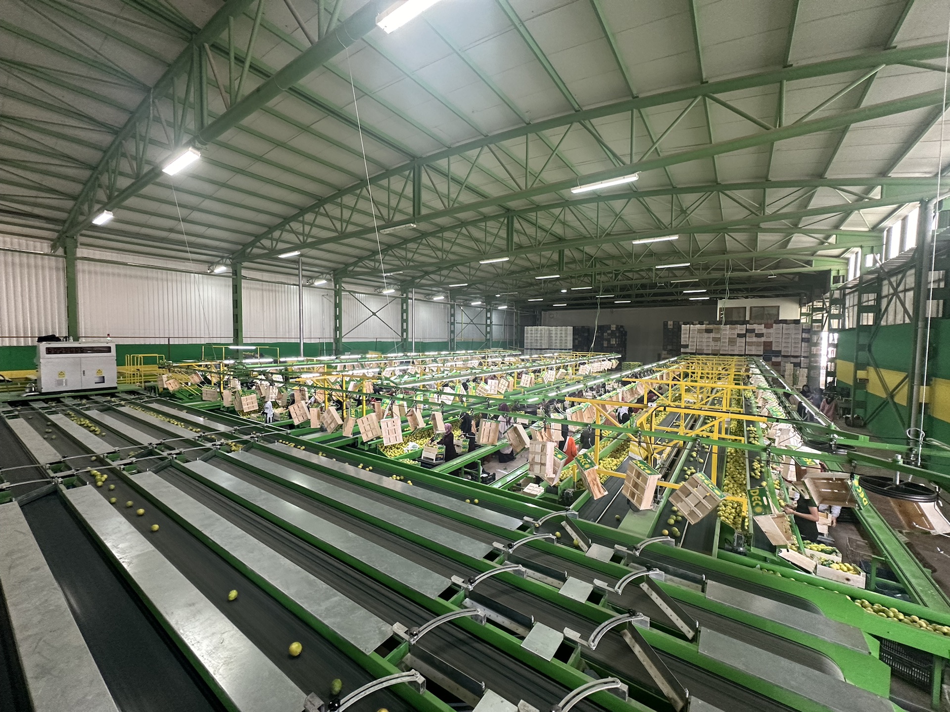 Hasip Kavak Makine Üretimi Hasip Kavak imzalı meyve paketleme makinesi üretimi